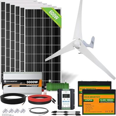 ECO-WORTHY 1000W 4KWH Solar Wind Power Kit: 1*400W Wind Turbine + 6*100W Solar Panel + 2*12V 100Ah Lithium Battery + 1*24V 3000W Inverter for...